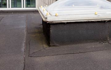 disadvantages of Badminton flat roofs