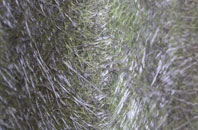 Badminton fibreglass roof work